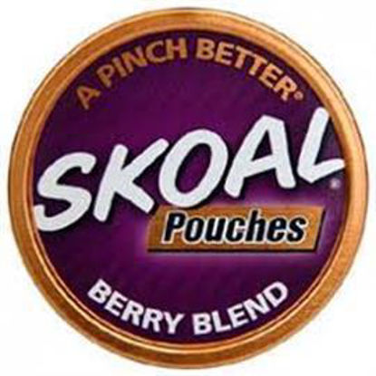 Picture of SKOAL POUCHES BERRY BLEND 0.82OZ 5CT