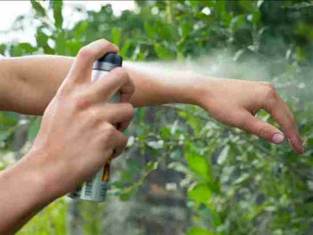 Picture for category BUG SPRAY