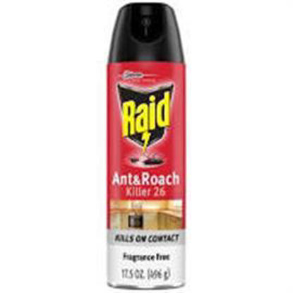 Picture of RAID ANT N ROACH OUTDOOR FRESH 17.5OZ