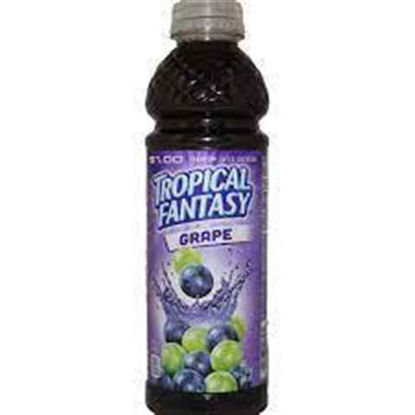 Picture of TROPICAL FANTASY GRAPE 22.5OZ 24CT