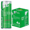 Picture of RED BULL DRAGON FRUIT GREEN EDITION 8.4OZ 24CT