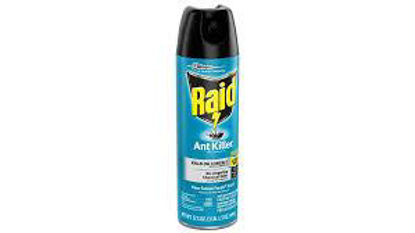 Picture of RAID ANT KILLER 15OZ