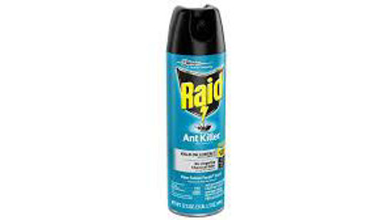 Picture of RAID ANT KILLER 15OZ