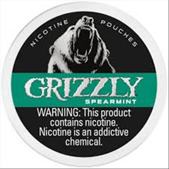 Picture of GRIZZLY NIC POUCH SPEARMINT 7MG